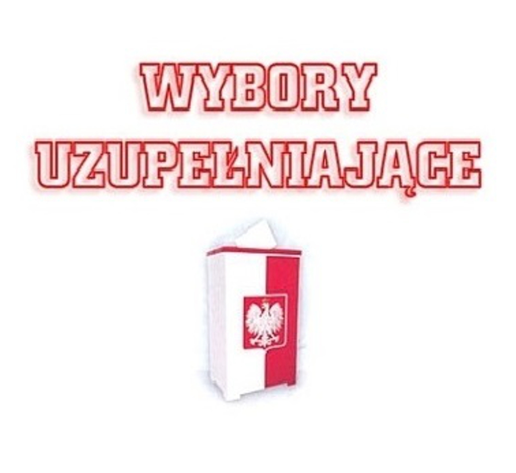 urna wyborcza logo